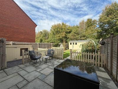 Picture 19